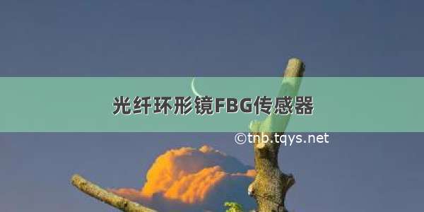 光纤环形镜FBG传感器