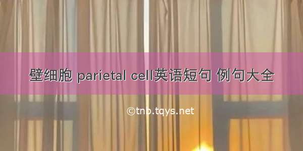 壁细胞 parietal cell英语短句 例句大全