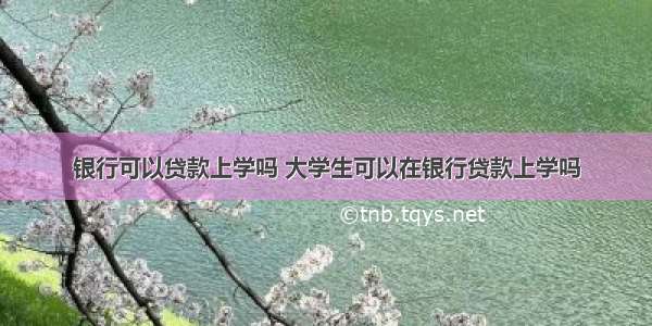 银行可以贷款上学吗 大学生可以在银行贷款上学吗