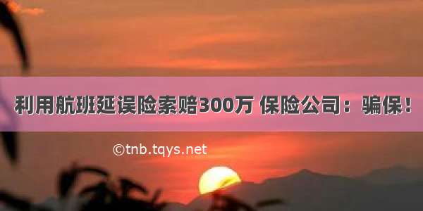 利用航班延误险索赔300万 保险公司：骗保！