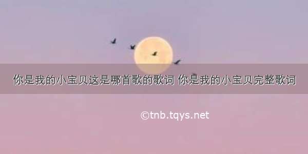 你是我的小宝贝这是哪首歌的歌词 你是我的小宝贝完整歌词