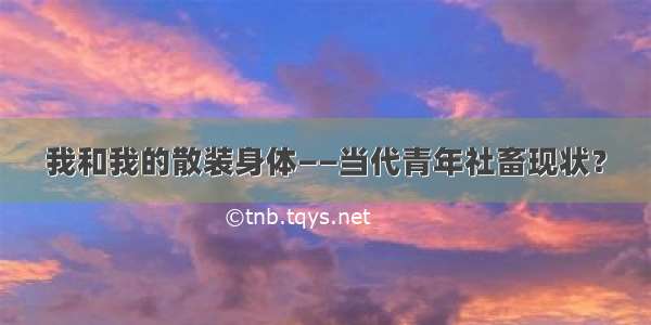 我和我的散装身体——当代青年社畜现状？