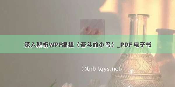 深入解析WPF编程（奋斗的小鸟）_PDF 电子书