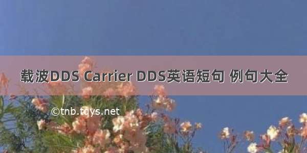 载波DDS Carrier DDS英语短句 例句大全