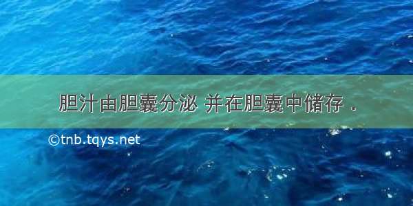 胆汁由胆囊分泌 并在胆囊中储存．