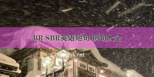 BR SBR英语短句 例句大全