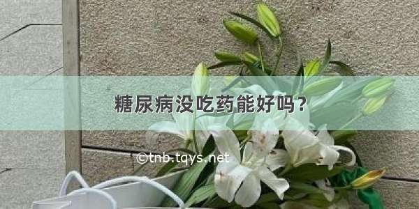 糖尿病没吃药能好吗？