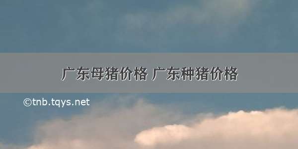 广东母猪价格 广东种猪价格