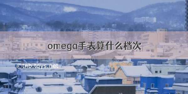 omega手表算什么档次