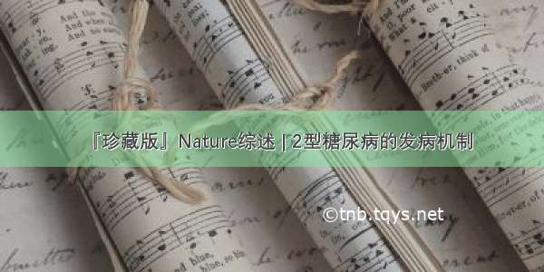 『珍藏版』Nature综述 | 2型糖尿病的发病机制