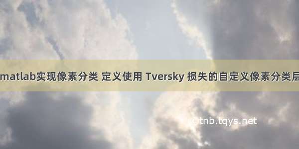 matlab实现像素分类 定义使用 Tversky 损失的自定义像素分类层