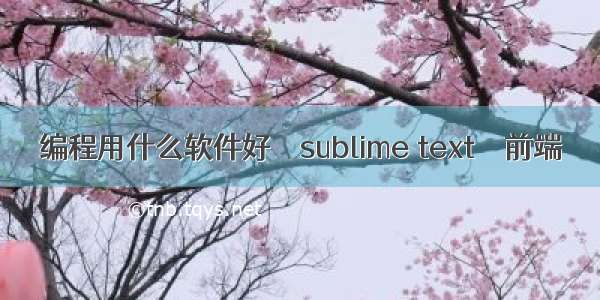 编程用什么软件好 – sublime text – 前端