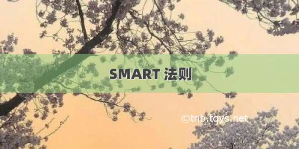 SMART 法则