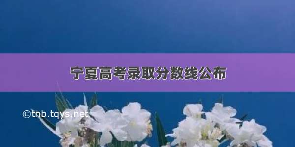 宁夏高考录取分数线公布