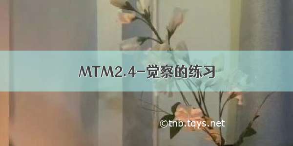 MTM2.4-觉察的练习