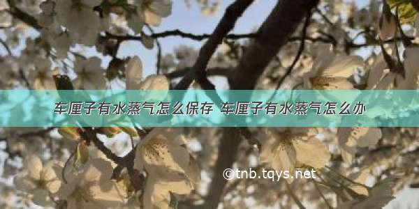 车厘子有水蒸气怎么保存 车厘子有水蒸气怎么办