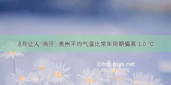 8月让人“淌汗” 贵州平均气温比常年同期偏高 1.0 ℃