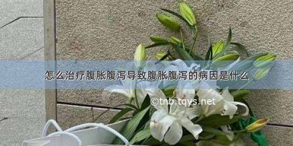 怎么治疗腹胀腹泻导致腹胀腹泻的病因是什么