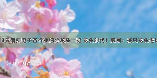 43只消费电子各行业细分龙头一览 龙头时代！股民：挑只龙头进场