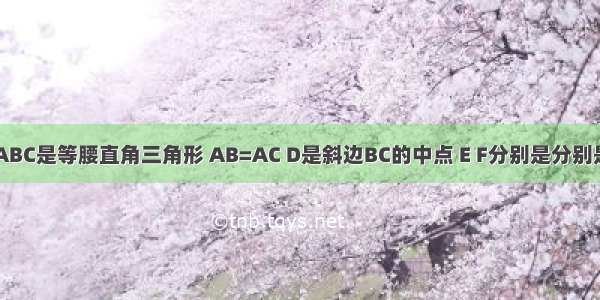 如图所示 △ABC是等腰直角三角形 AB=AC D是斜边BC的中点 E F分别是分别是AB AC边上