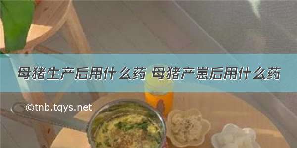 母猪生产后用什么药 母猪产崽后用什么药