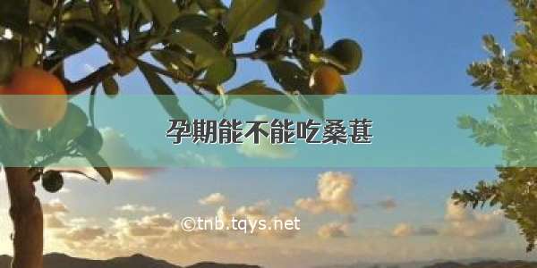 孕期能不能吃桑葚