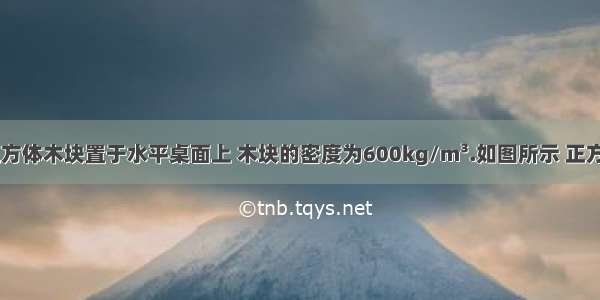 如图所示 正方体木块置于水平桌面上 木块的密度为600kg/m³.如图所示 正方体木块置于