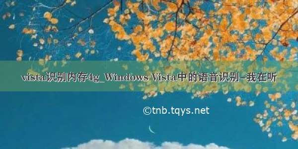 vista识别内存4g_Windows Vista中的语音识别-我在听