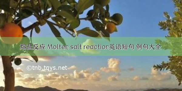 熔盐反应 Molten salt reaction英语短句 例句大全