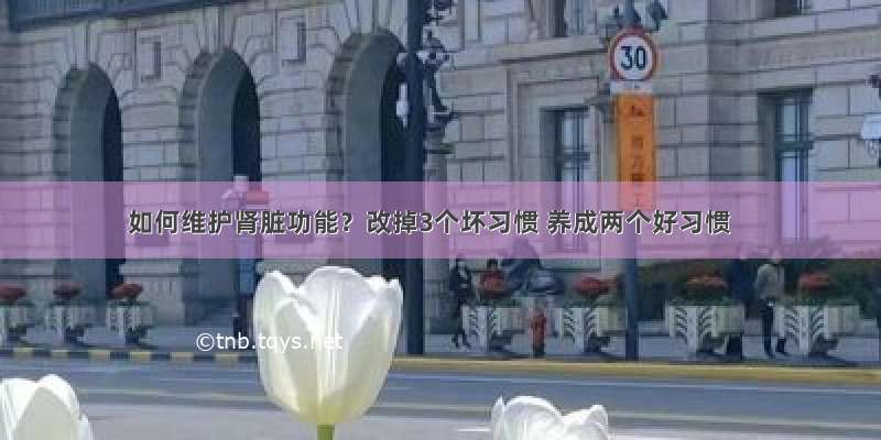 如何维护肾脏功能？改掉3个坏习惯 养成两个好习惯