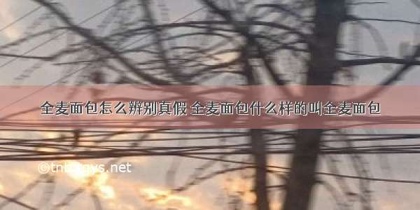 全麦面包怎么辨别真假 全麦面包什么样的叫全麦面包