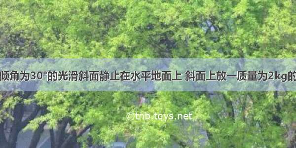 如图所示 倾角为30°的光滑斜面静止在水平地面上 斜面上放一质量为2kg的小球 球被