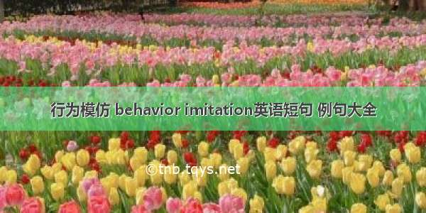 行为模仿 behavior imitation英语短句 例句大全