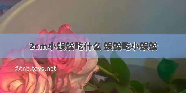 2cm小蜈蚣吃什么 蜈蚣吃小蜈蚣