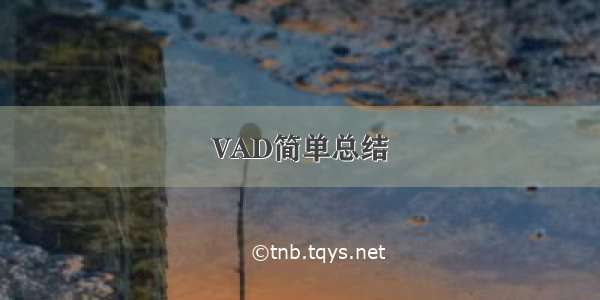 VAD简单总结