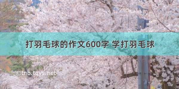 打羽毛球的作文600字 学打羽毛球