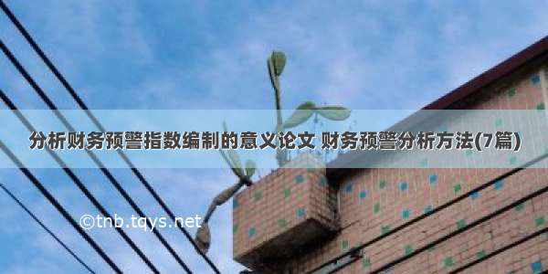 分析财务预警指数编制的意义论文 财务预警分析方法(7篇)