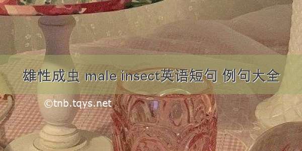 雄性成虫 male insect英语短句 例句大全