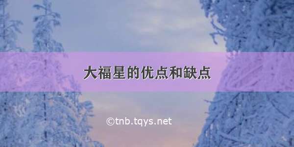 大福星的优点和缺点