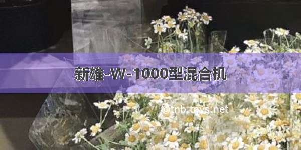 新雄-W-1000型混合机