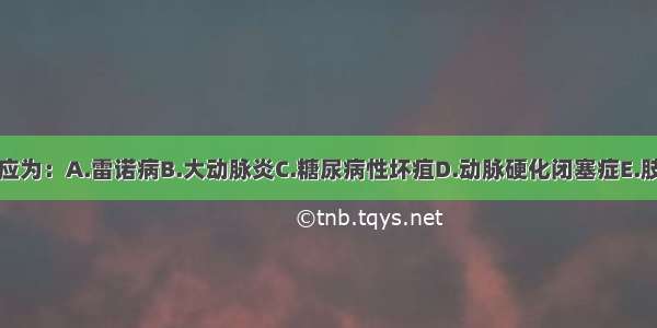 该患者诊断应为：A.雷诺病B.大动脉炎C.糖尿病性坏疽D.动脉硬化闭塞症E.肢体动脉栓塞