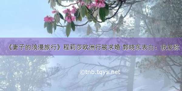 《妻子的浪漫旅行》程莉莎欧洲行被求婚 郭晓东表白：我爱你