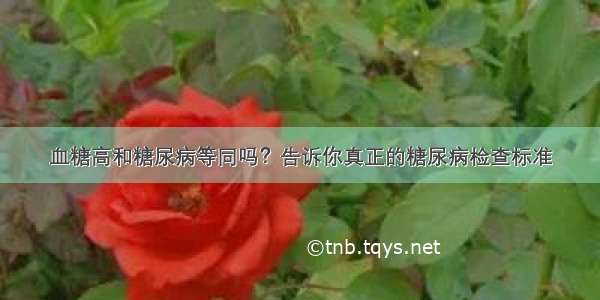 血糖高和糖尿病等同吗？告诉你真正的糖尿病检查标准