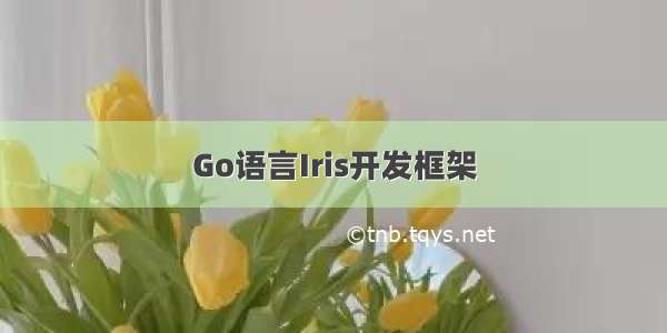 Go语言Iris开发框架