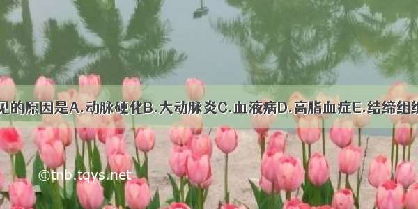 脑梗死最常见的原因是A.动脉硬化B.大动脉炎C.血液病D.高脂血症E.结缔组织病ABCDE