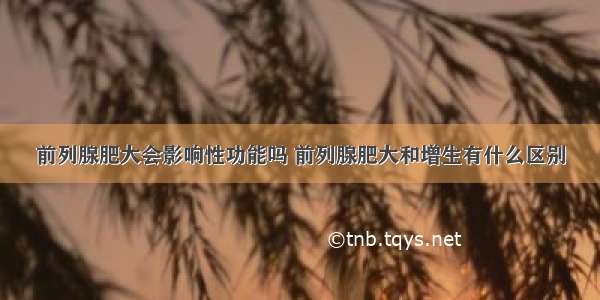 前列腺肥大会影响性功能吗 前列腺肥大和增生有什么区别