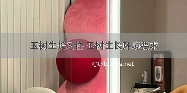 玉树生长习性 玉树生长环境要求