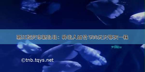 浙江绍兴市新昌县：种出人面竹 500元只够买一株