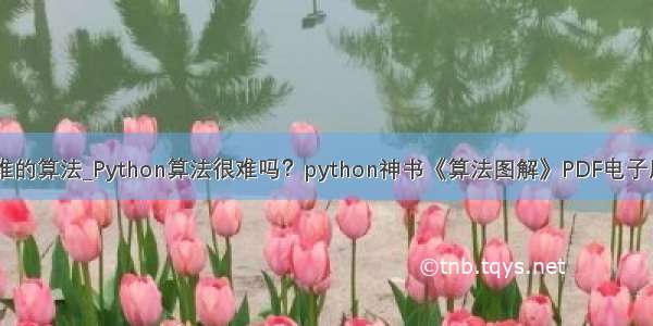 python中难的算法_Python算法很难吗？python神书《算法图解》PDF电子版分享给你