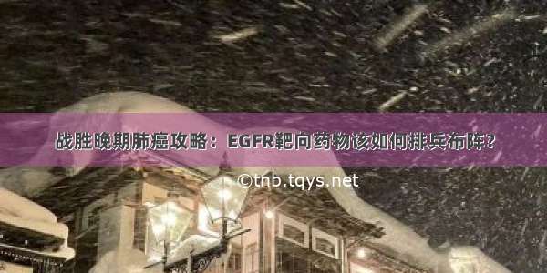 战胜晚期肺癌攻略：EGFR靶向药物该如何排兵布阵？